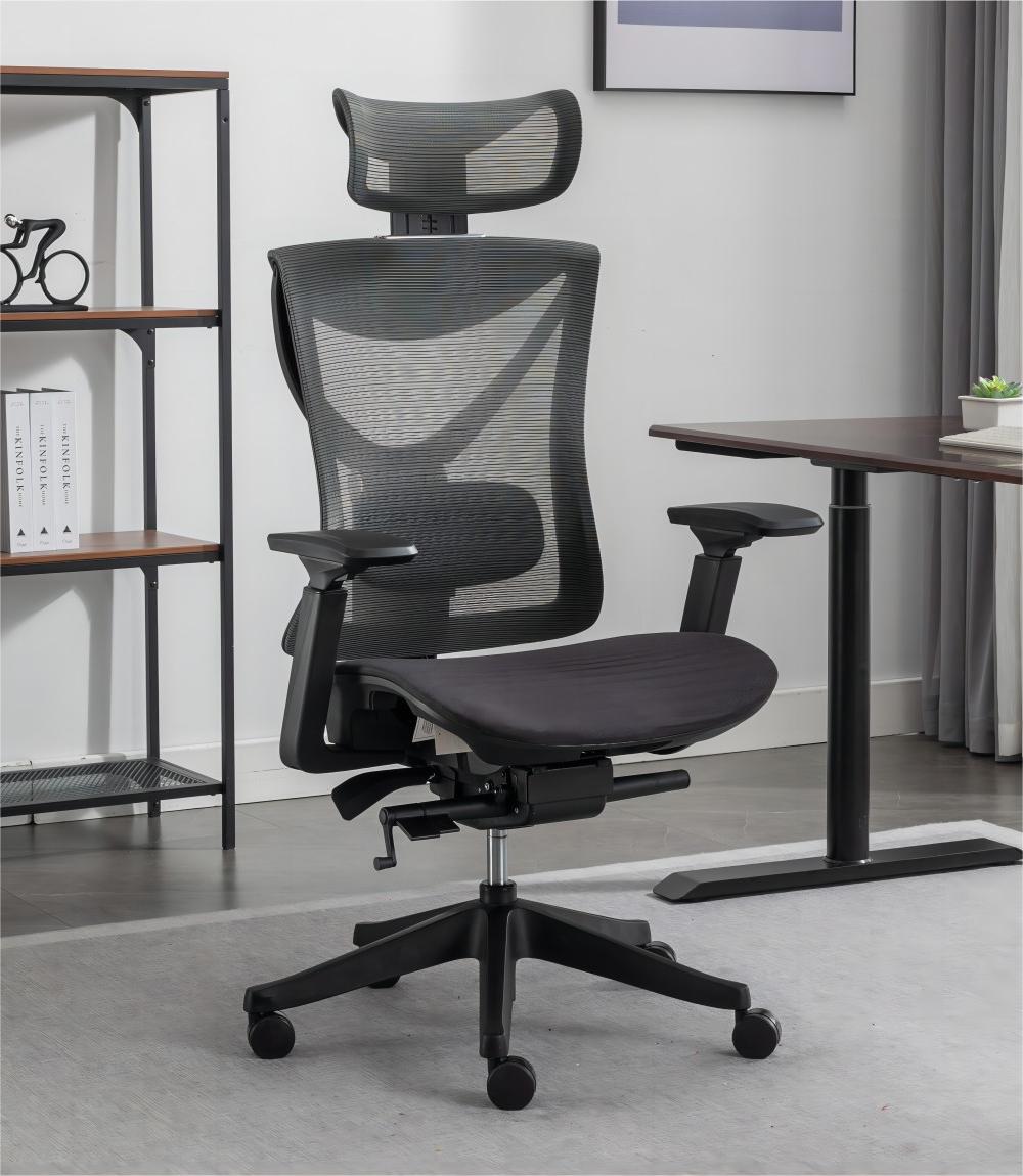 Ergonomic Chair Pro